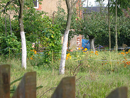 garten_1